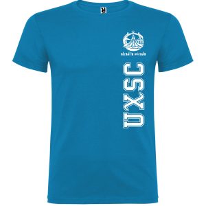 Camiseta visita Papa